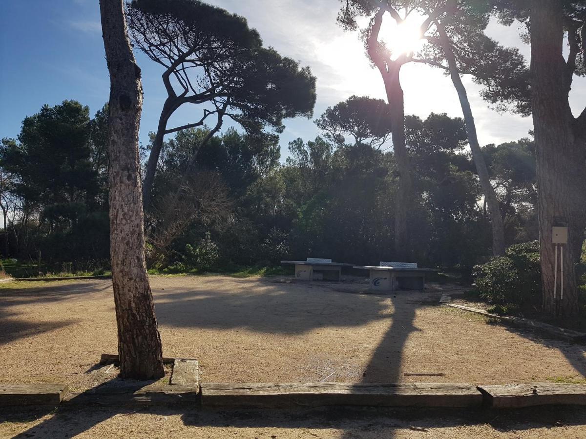 Le Studio De Giens Hyères Dış mekan fotoğraf