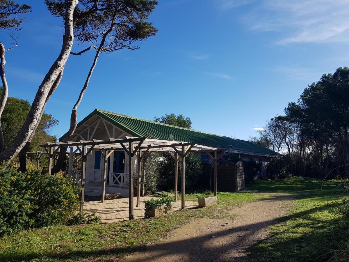 Le Studio De Giens Hyères Dış mekan fotoğraf