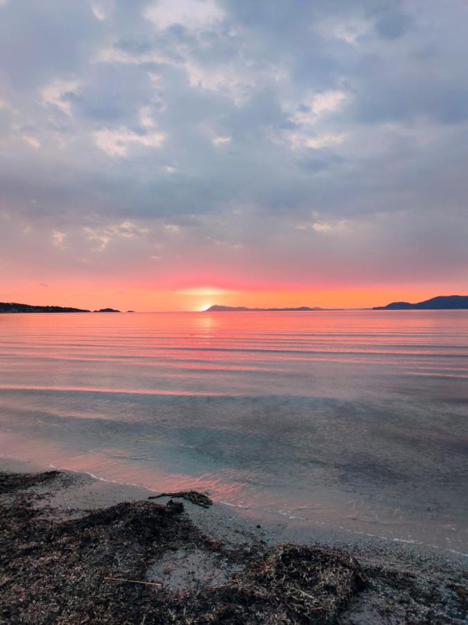 Le Studio De Giens Hyères Dış mekan fotoğraf