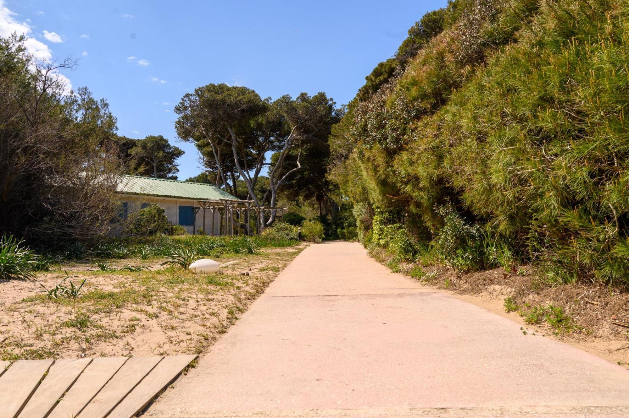 Le Studio De Giens Hyères Dış mekan fotoğraf