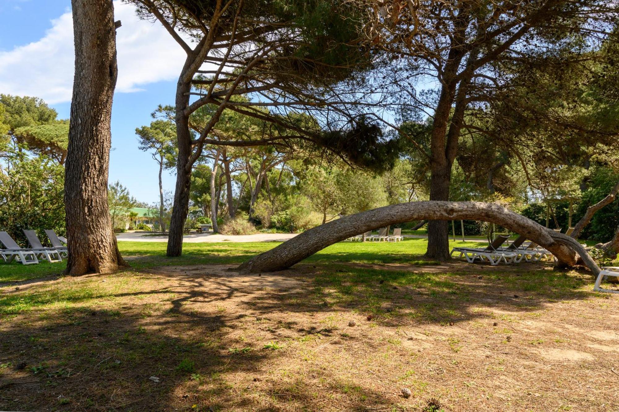Le Studio De Giens Hyères Dış mekan fotoğraf